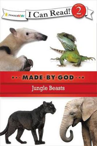 Cover image for Jungle Beasts: Level 2