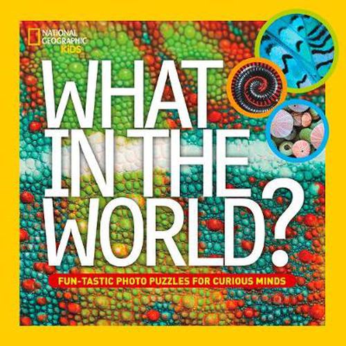 Cover image for What in the World?