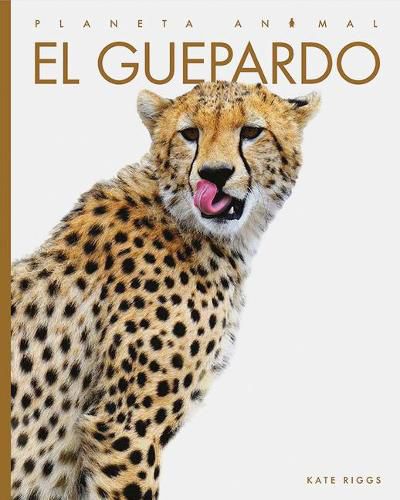 Cover image for El Guepardo