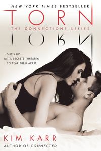 Cover image for Torn: The Connections Series