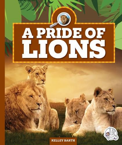 A Pride of Lions