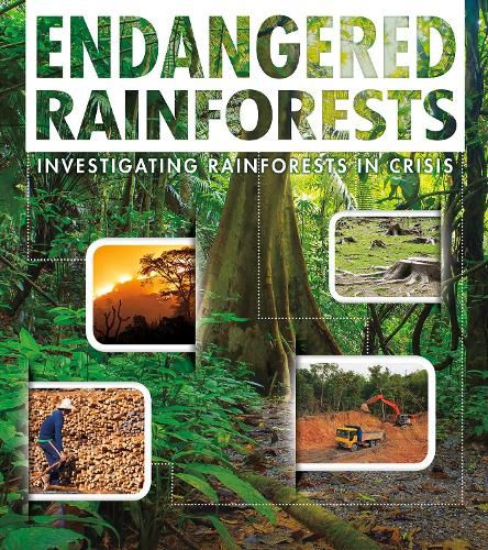 Cover image for Endangered Rainforests: Investigating Rainforests in Crisis