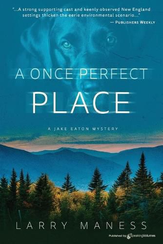 Cover image for A Once Perfect Place