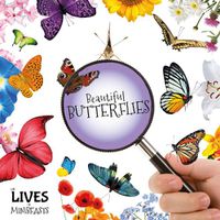 Cover image for Beautiful Butterflies