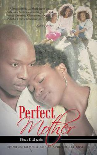 Cover image for Perfect Mother