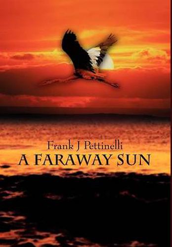 Cover image for A Faraway Sun
