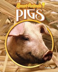 Cover image for Pigs