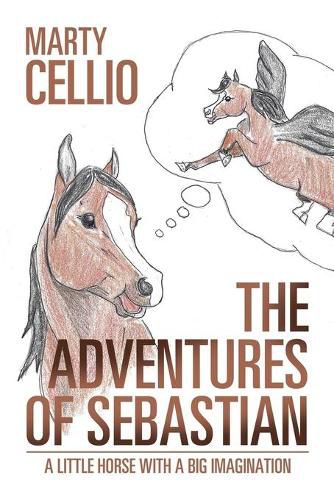 Cover image for The Adventures of Sebastian