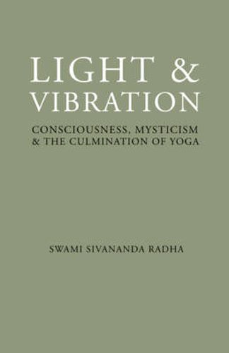 Cover image for Light and Vibration: Consciousness Mysticism & the Culmination of Yoga