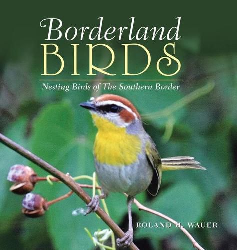 Cover image for Borderland Birds: Nesting Birds of the Southern Border