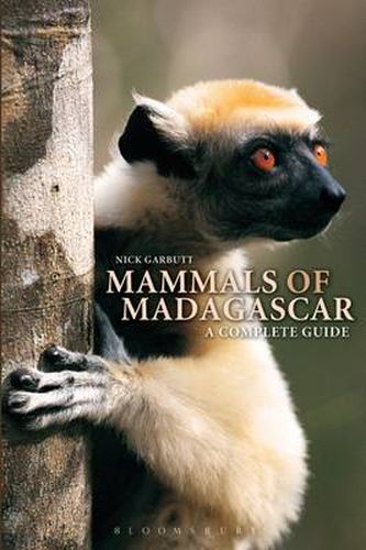 Cover image for Mammals of Madagascar: A Complete Guide