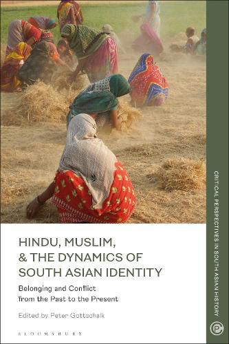 Cover image for Hindu, Muslim, & the Dynamics of South Asian Identity