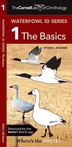 Cover image for The Cornell Lab of Ornithology Waterfowl ID 1 The Basics