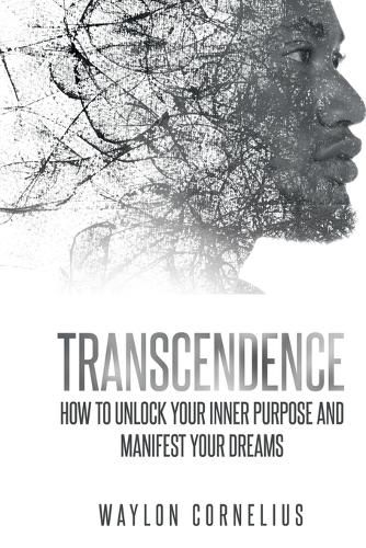Cover image for Transcendence