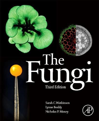 The Fungi