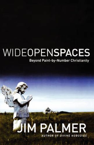 Cover image for Wide Open Spaces: Beyond Paint-by-Number Christianity