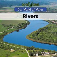 Cover image for Rivers