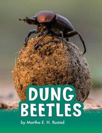 Cover image for Dung Beetles