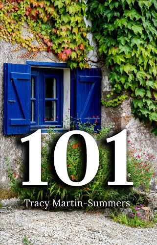 Cover image for 101