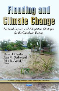 Cover image for Flooding & Climate Change: Sectorial Impacts & Adaptation Strategies for the Caribbean Region