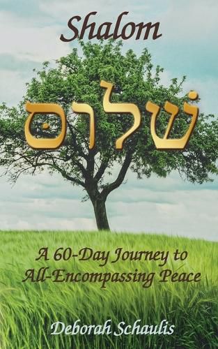 Cover image for Shalom