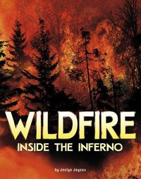 Cover image for Wildfire, Inside the Inferno