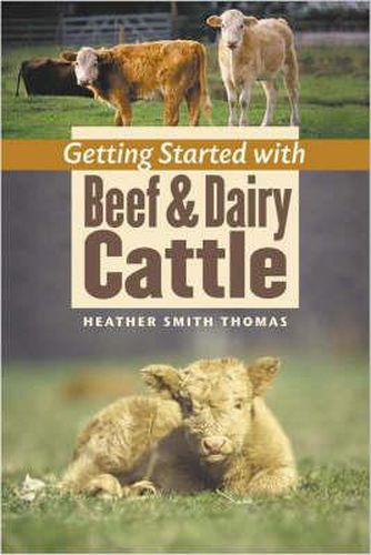 Getting Started with Beef and Dairy Cattle