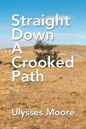 Cover image for Straight Down a Crooked Path