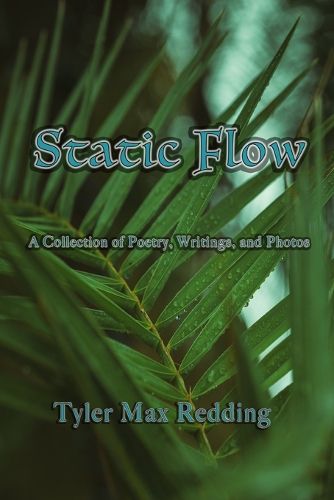 Cover image for Static Flow