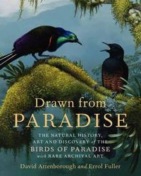 Cover image for Drawn from Paradise: The Natural History, Art and Discovery of the Birds of Paradise with Rare Archival Art