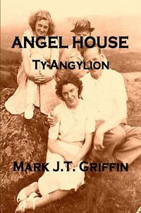 Cover image for Angel House