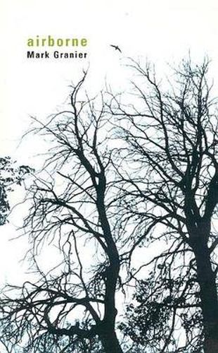 Cover image for Airborne