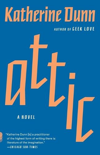 Cover image for Attic
