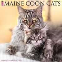 Cover image for Just Maine Coon Cats 2025 12 X 12 Wall Calendar