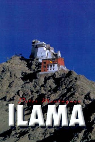 Cover image for Llama