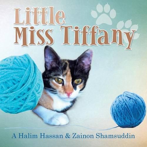 Cover image for Little Miss Tiffany