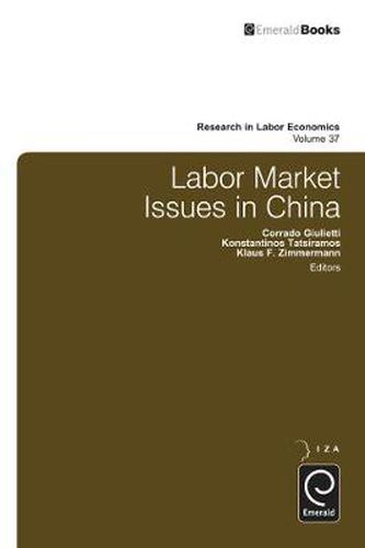 Cover image for Labor Market Issues in China