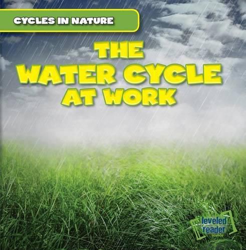 Cover image for The Water Cycle at Work