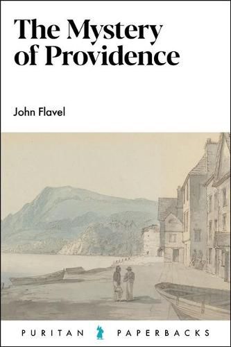 Cover image for The Mystery of Providence