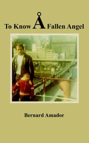 Cover image for To Know A Fallen Angel