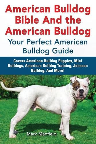 Cover image for American Bulldog Bible and the American Bulldog: Your Perfect Amercian Bulldog Guide. Covers American Bulldog Puppies, Mini Bulldogs, American Bulldog Training, Johnson Bulldog, and More!