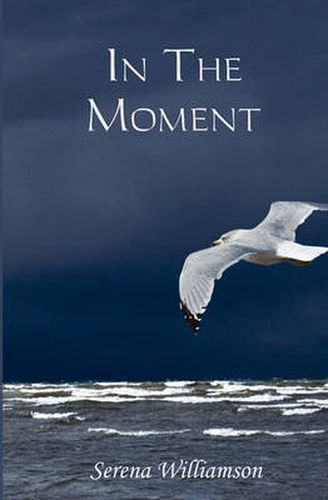 Cover image for In the Moment