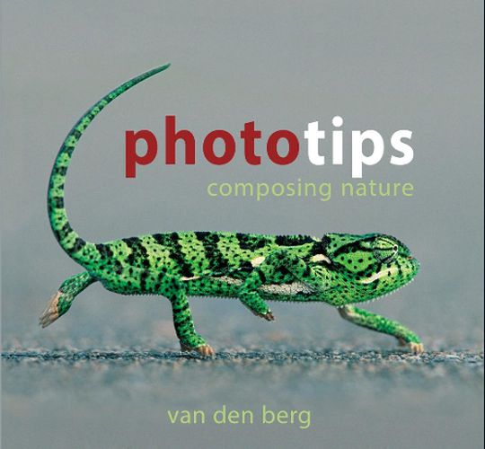 Cover image for Phototips: Composing Nature