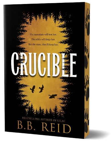 Cover image for Crucible
