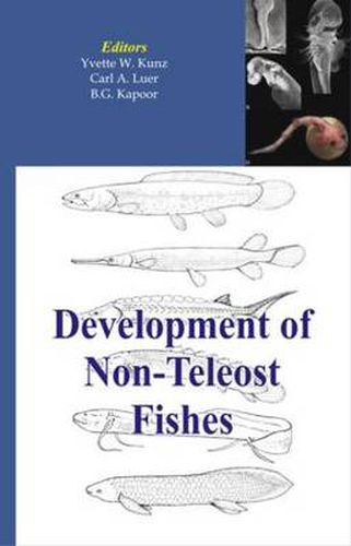 Cover image for Development of Non-teleost Fishes