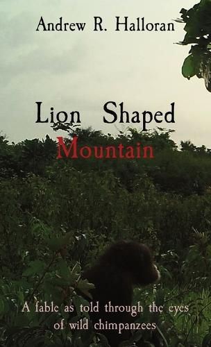 Cover image for Lion Shaped Mountain