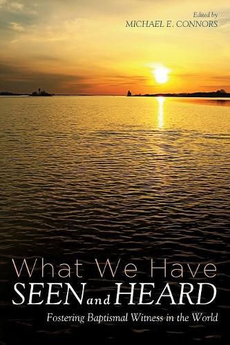 Cover image for What We Have Seen and Heard: Fostering Baptismal Witness in the World