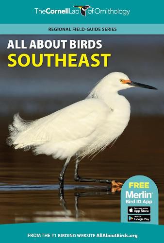 Cover image for All About Birds Southeast