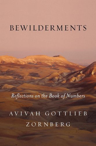 Cover image for Bewilderments: Reflections on the Book of Numbers