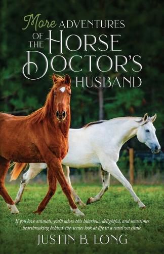 Cover image for More Adventures of the Horse Doctor's Husband